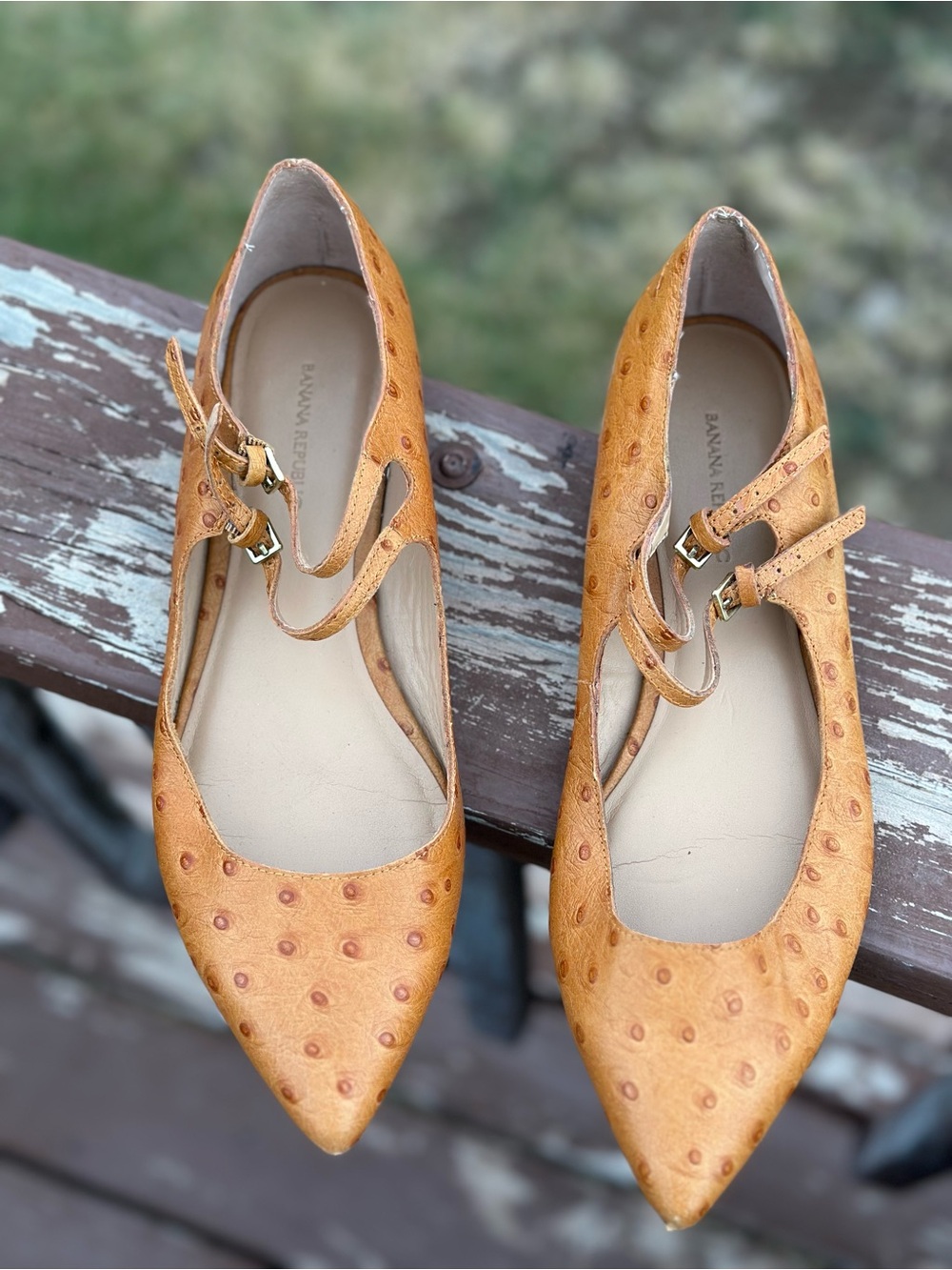 Banana Republic Ostrich-Embossed Pointed Mary Janes in Tan